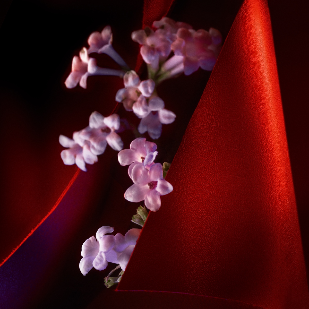 Fétiche Le Cuir TRANSLUCIDE - Christian Louboutin Beauty United States