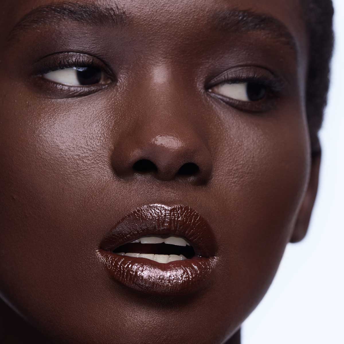 Rouge Stiletto Les Nudes - Shine Lipstick - Nude 8N - Christian